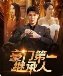 豪門(mén)第一繼承人