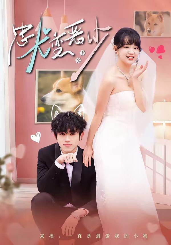 忠犬变恶少（惊！我家来福变恶少了）封面图