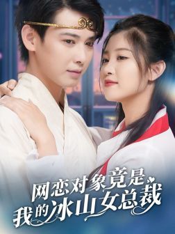 網(wǎng)戀對象竟是我的冰山女總裁