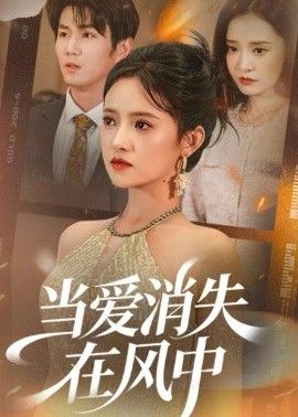 当爱消失在风中封面图