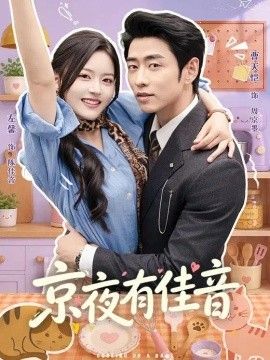 京夜有佳音封面图