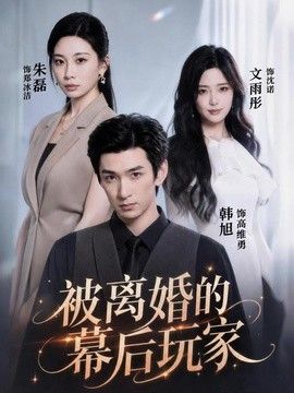 被离婚的幕后玩家