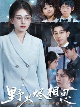 野火烬相思的封面图