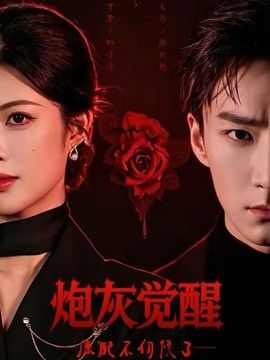 炮灰觉醒，原配不伺候了封面图