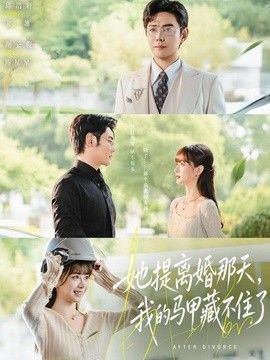 她提离婚那天，我的马甲藏不住