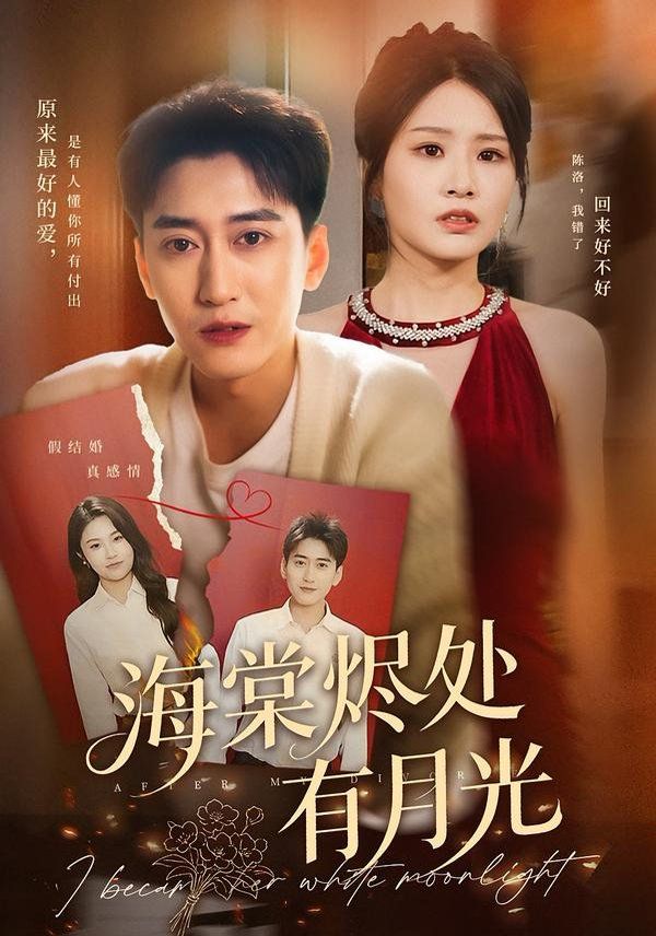 海棠烬处有月光