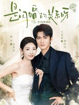 是闪婚的关系呀封面图