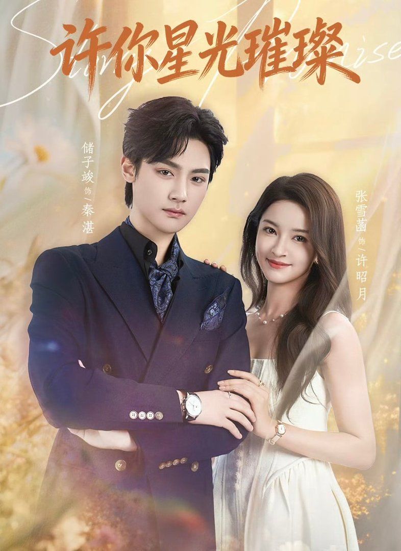 许你星光璀璨封面图
