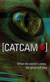 猫咪摄像头封面图