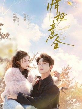 情投意合封面图