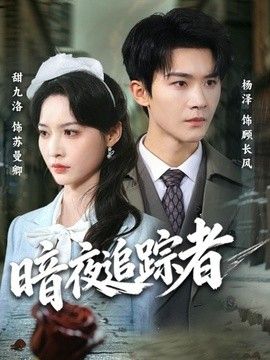 暗夜追踪者封面图