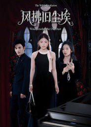 风拂旧尘埃封面图