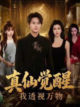 真仙觉醒，我透视万物