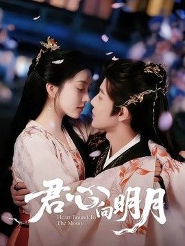 君心向明月封面图