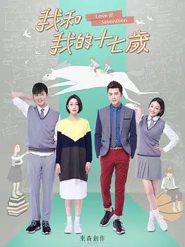 我和我的十七岁的封面图