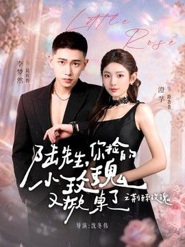 陆先生，你捡的小玫瑰又掀桌了之荆棘玫瑰（太子爷的小玫瑰又掀桌了）封面图