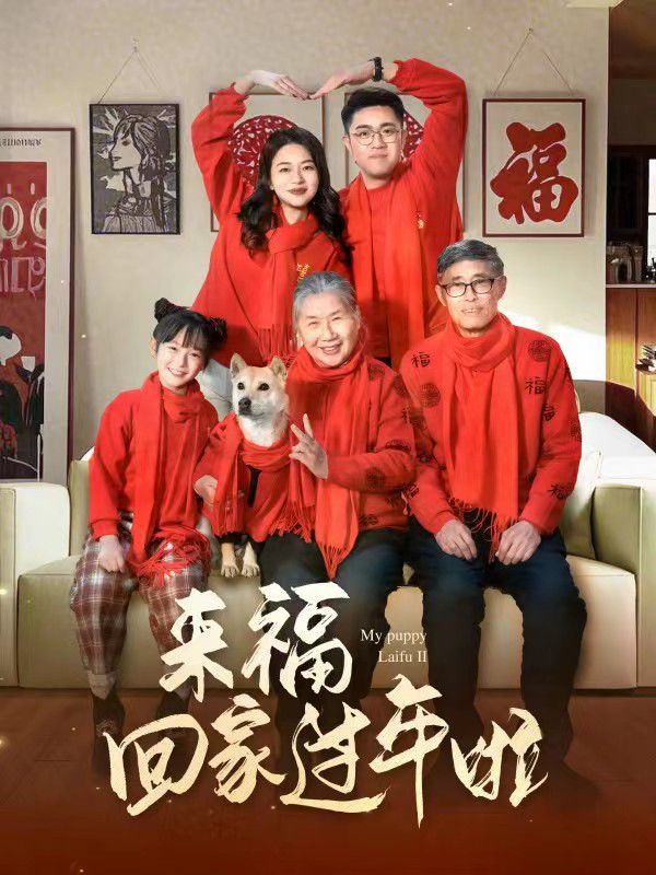 來?；丶疫^年啦