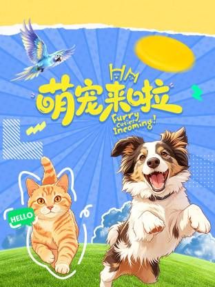 萌宠来啦