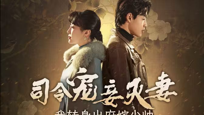 司令寵妾滅妻，我轉(zhuǎn)身出府嫁少帥