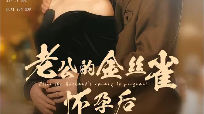老公的金絲雀懷孕后