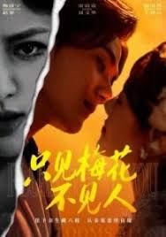 只見梅花不見人