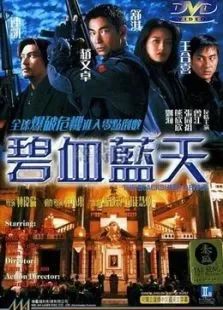 碧血蓝天封面图