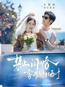禁止闪婚，雾散归栖时