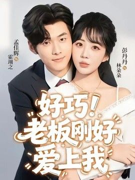 老板刚好爱上我封面图