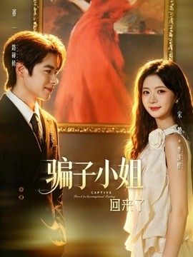 骗子小姐回来了海报