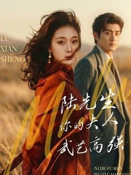 陆先生，你的夫人武艺高强