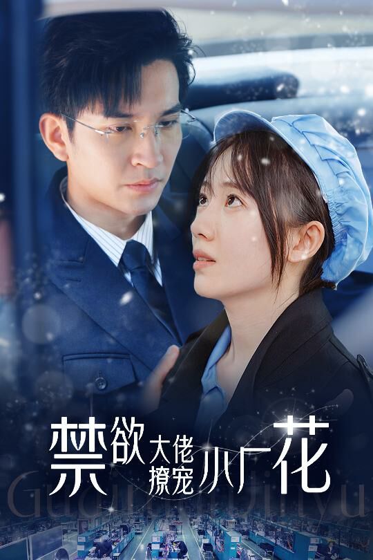 禁欲大佬撩寵小廠花（小可憐靠生子寵冠電子廠）