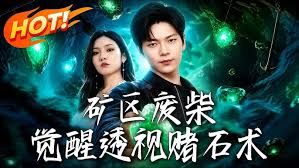 矿区废柴，觉醒透视赌石术封面图
