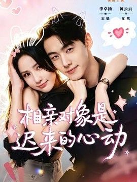 相亲对象是迟来的心动海报