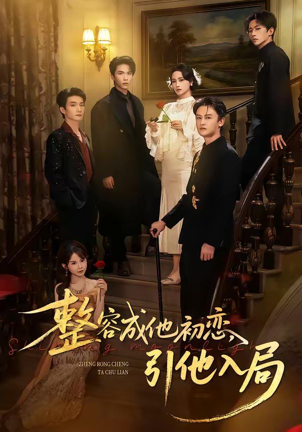 整容成他初恋，引他入局封面图