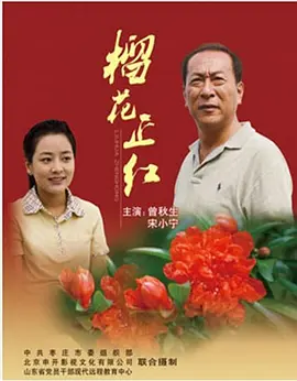榴花正红 