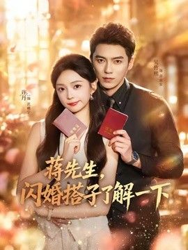 蒋先生，闪婚搭子了解一下海报