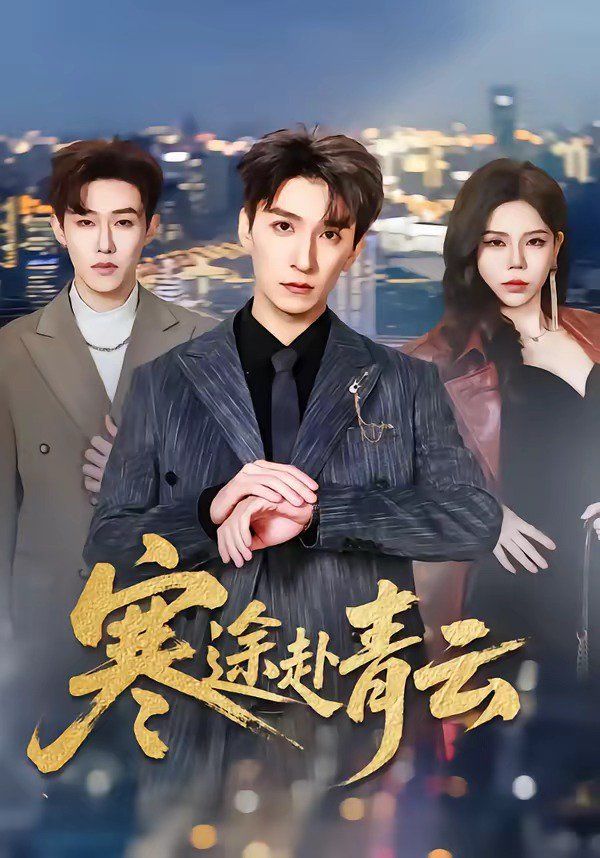 寒途赴青云封面图