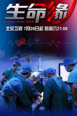 生命缘第二季