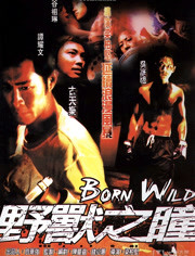 野兽之瞳 