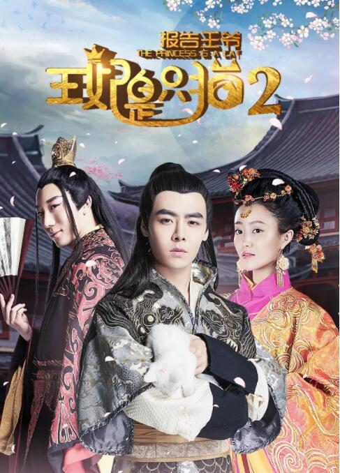 報告王爺，王妃是只貓2